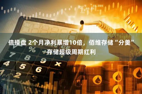 倍操盘 2个月净利暴增10倍，佰维存储“分羹”存储超级周期红利