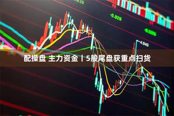 配操盘 主力资金丨5股尾盘获重点扫货